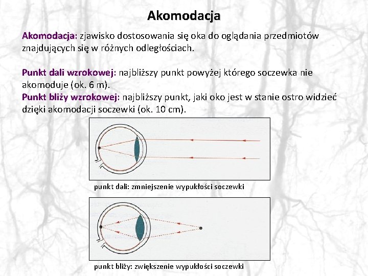 Akomodacja: Akomodacja zjawisko dostosowania się oka do oglądania przedmiotów znajdujących się w różnych odległościach.