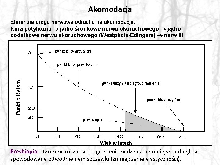 Akomodacja Eferentna droga nerwowa odruchu na akomodację: Kora potyliczna jądro środkowe nerwu okoruchowego jądro