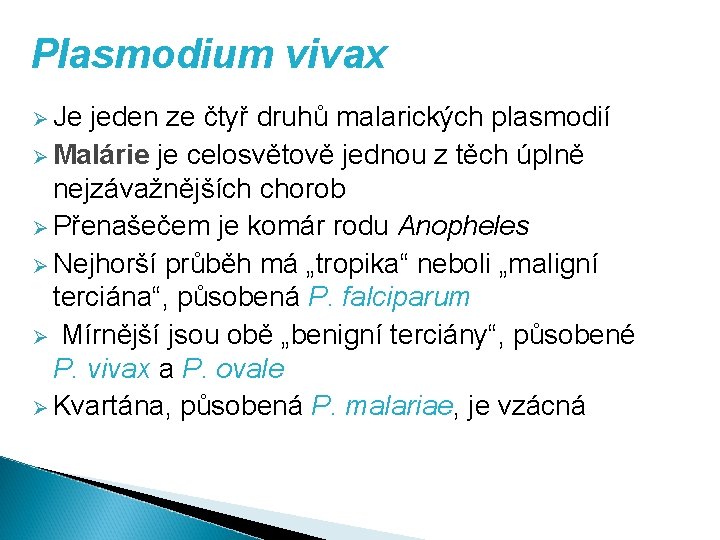 Plasmodium vivax Ø Je jeden ze čtyř druhů malarických plasmodií Ø Malárie je celosvětově