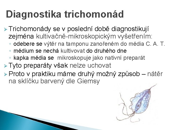 Diagnostika trichomonád Ø Trichomonády se v poslední době diagnostikují zejména kultivačně-mikroskopickým vyšetřením: ◦ odebere