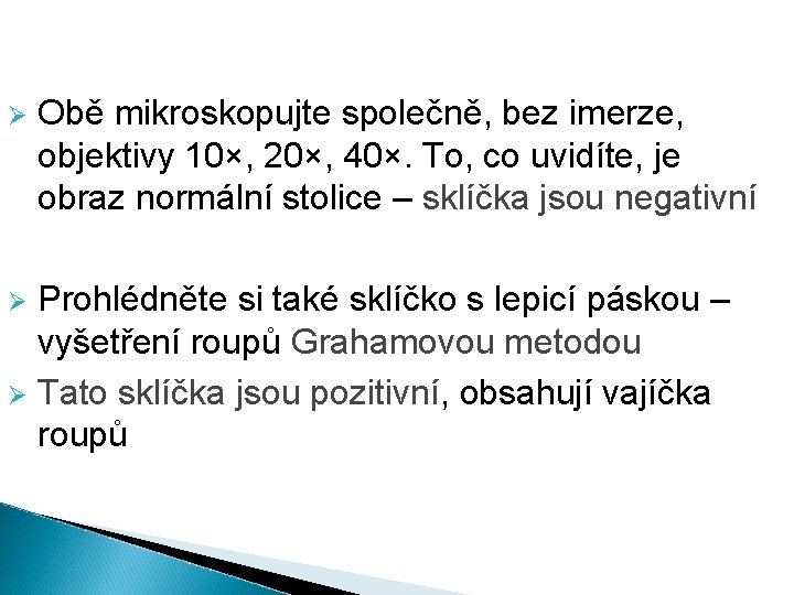 Ø Obě mikroskopujte společně, bez imerze, objektivy 10×, 20×, 40×. To, co uvidíte, je