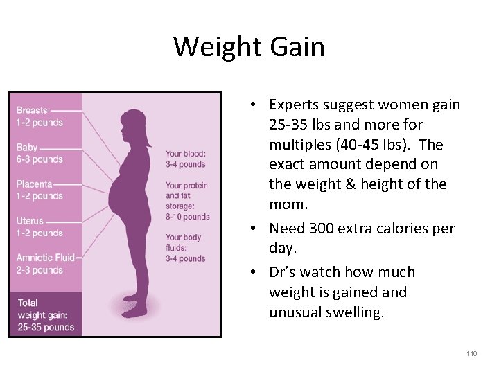 Weight Gain • Experts suggest women gain 25 -35 lbs and more for multiples