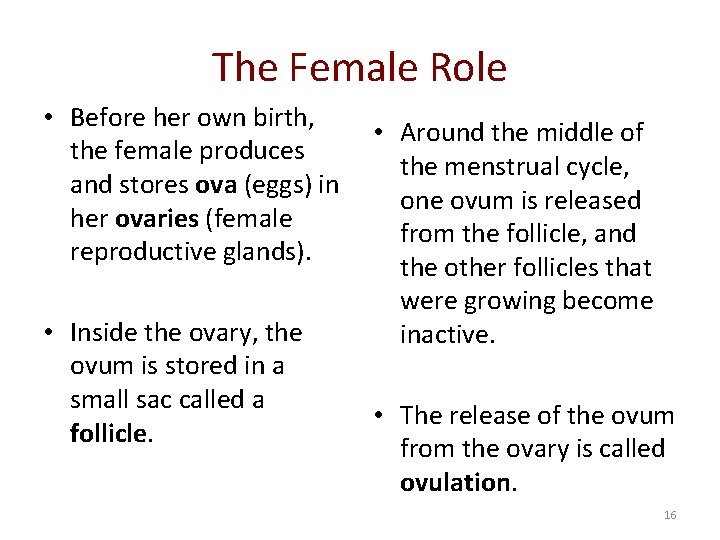 The Female Role • Before her own birth, • Around the middle of the