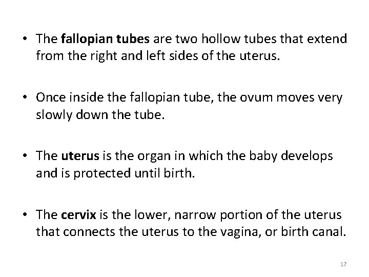  • The fallopian tubes are two hollow tubes that extend from the right