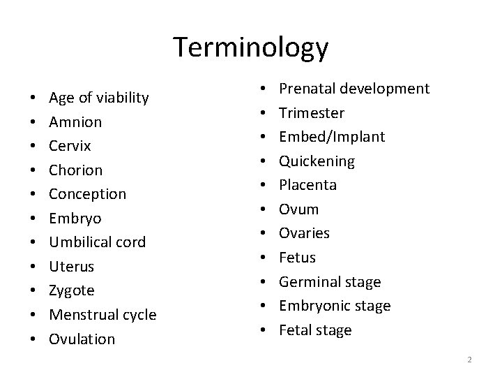 Terminology • • • Age of viability Amnion Cervix Chorion Conception Embryo Umbilical cord