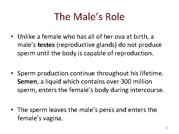 The Male’s Role • Unlike a female who has all of her ova at