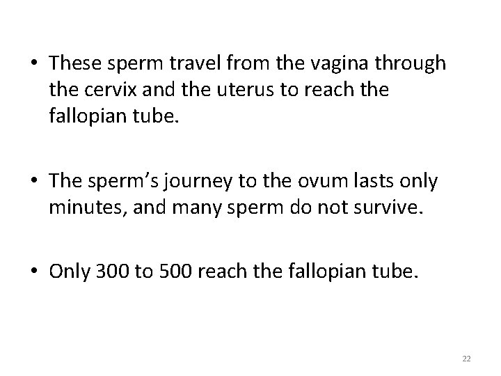  • These sperm travel from the vagina through the cervix and the uterus