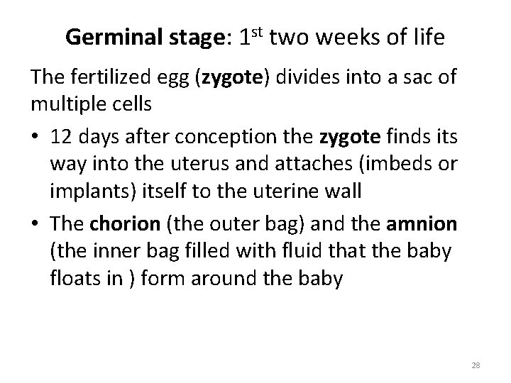 Germinal stage: 1 st two weeks of life The fertilized egg (zygote) divides into