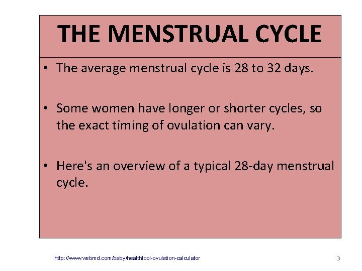 THE MENSTRUAL CYCLE • The average menstrual cycle is 28 to 32 days. •
