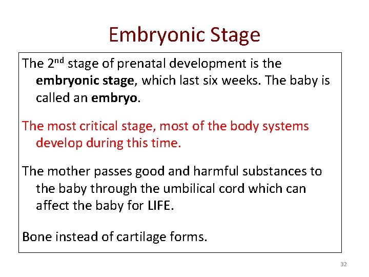Embryonic Stage The 2 nd stage of prenatal development is the embryonic stage, which