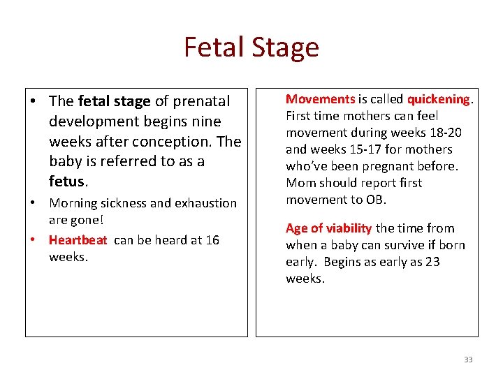 Fetal Stage • The fetal stage of prenatal development begins nine weeks after conception.