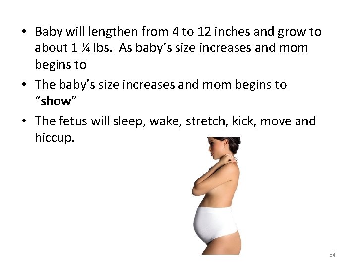  • Baby will lengthen from 4 to 12 inches and grow to about
