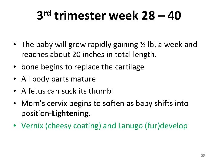 rd 3 trimester week 28 – 40 • The baby will grow rapidly gaining