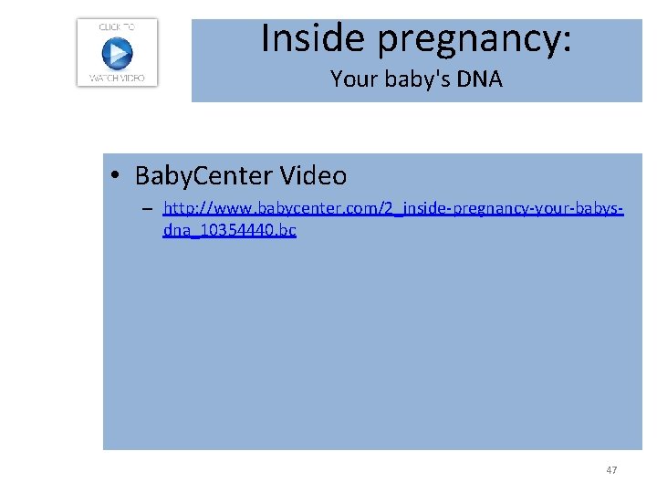 Inside pregnancy: Your baby's DNA • Baby. Center Video – http: //www. babycenter. com/2_inside-pregnancy-your-babysdna_10354440.