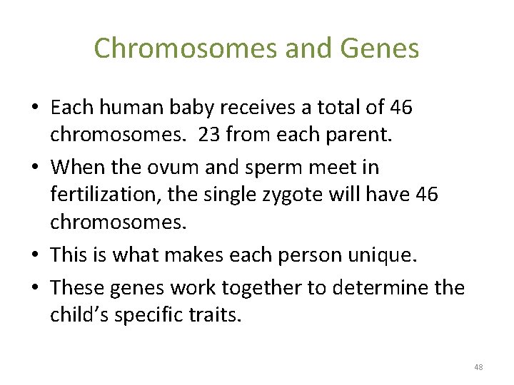 Chromosomes and Genes • Each human baby receives a total of 46 chromosomes. 23