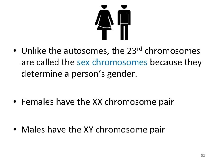  • Unlike the autosomes, the 23 rd chromosomes are called the sex chromosomes