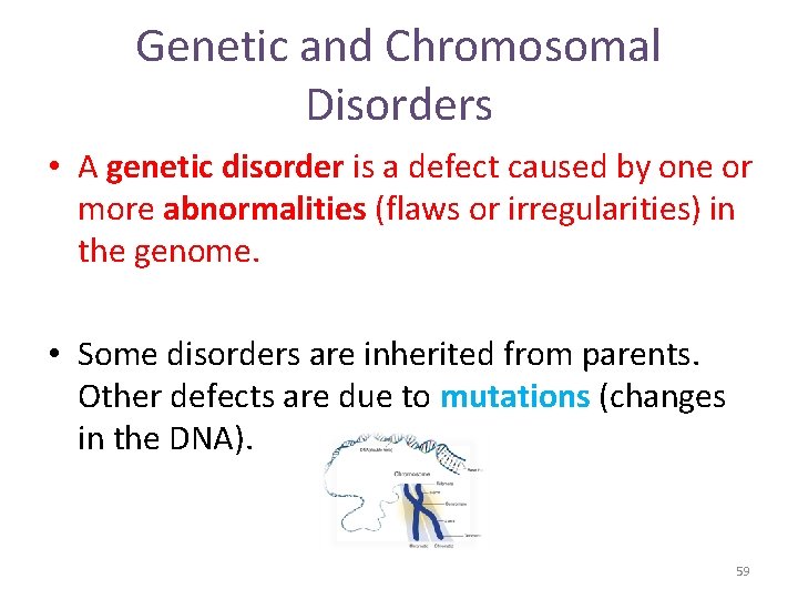 Genetic and Chromosomal Disorders • A genetic disorder is a defect caused by one