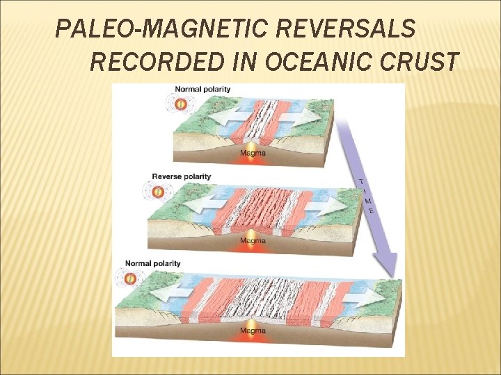 PALEO-MAGNETIC REVERSALS RECORDED IN OCEANIC CRUST 