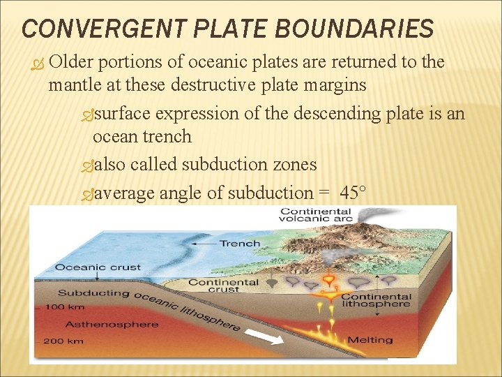 CONVERGENT PLATE BOUNDARIES Older portions of oceanic plates are returned to the mantle at