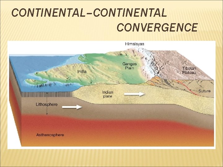 CONTINENTAL–CONTINENTAL CONVERGENCE 