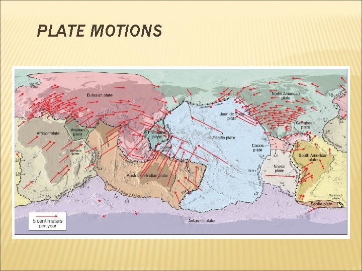 PLATE MOTIONS 