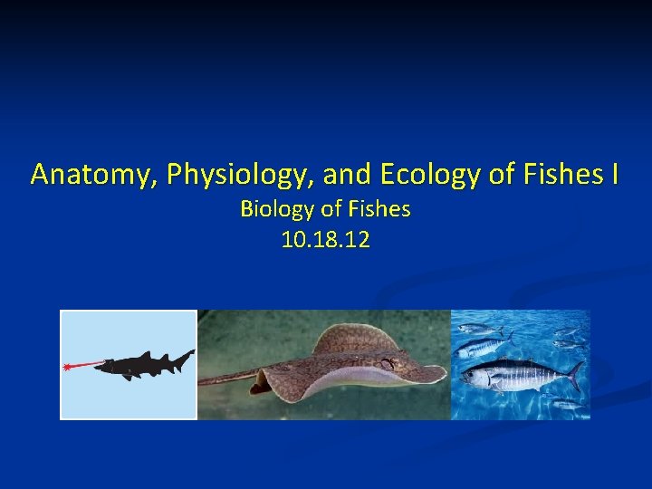 Anatomy, Physiology, and Ecology of Fishes I Biology of Fishes 10. 18. 12 