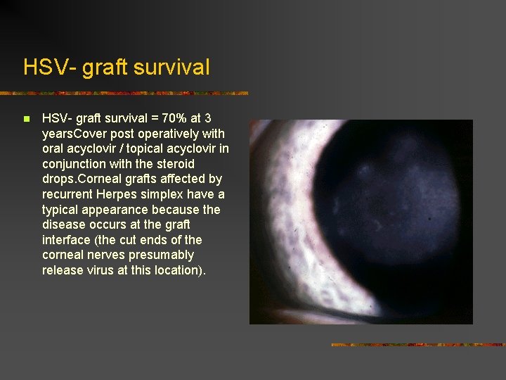 HSV- graft survival n HSV- graft survival = 70% at 3 years. Cover post