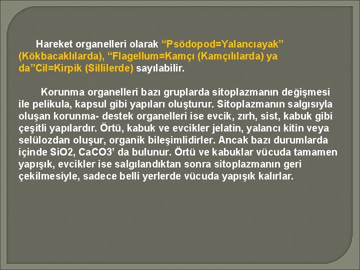 Hareket organelleri olarak “Psödopod=Yalancıayak” (Kökbacaklılarda), “Flagellum=Kamçı (Kamçılılarda) ya da”Cil=Kirpik (Sillilerde) sayılabilir. Korunma organelleri bazı