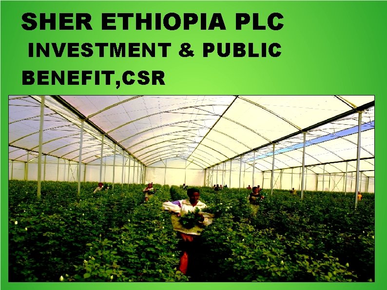 SHER ETHIOPIA PLC INVESTMENT & PUBLIC BENEFIT, CSR 