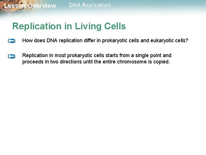 Lesson Overview DNA Replication in Living Cells How does DNA replication differ in prokaryotic