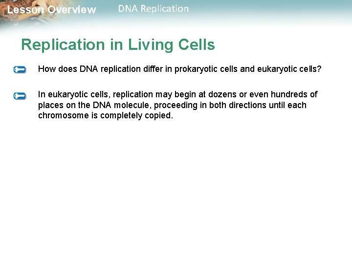 Lesson Overview DNA Replication in Living Cells How does DNA replication differ in prokaryotic