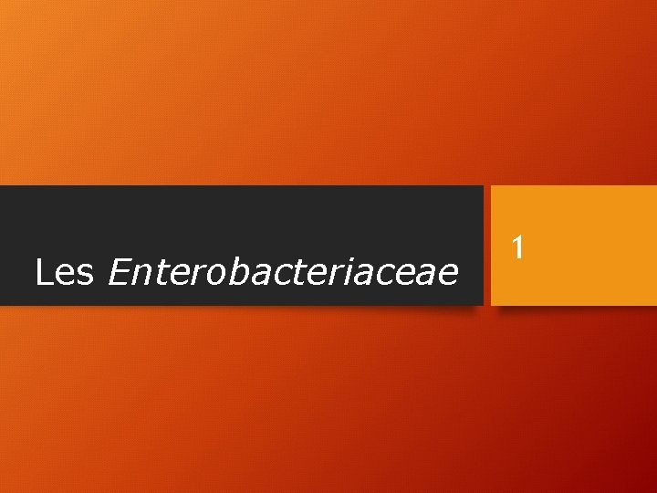 Les Enterobacteriaceae 1 