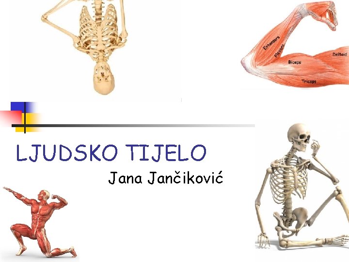 LJUDSKO TIJELO Jana Jančiković 