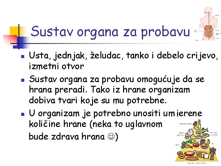 Sustav organa za probavu n n n Usta, jednjak, želudac, tanko i debelo crijevo,