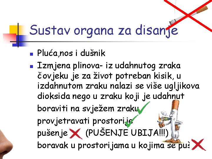 Sustav organa za disanje n n Pluća, nos i dušnik Izmjena plinova- iz udahnutog