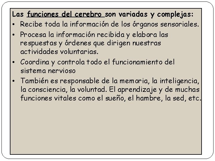 Las funciones del cerebro son variadas y complejas: • Recibe toda la información de