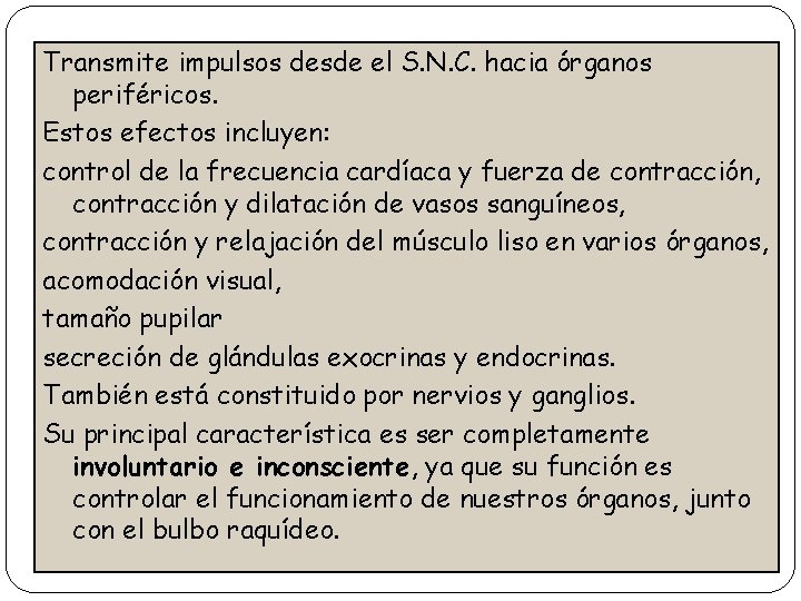 Transmite impulsos desde el S. N. C. hacia órganos periféricos. Estos efectos incluyen: control