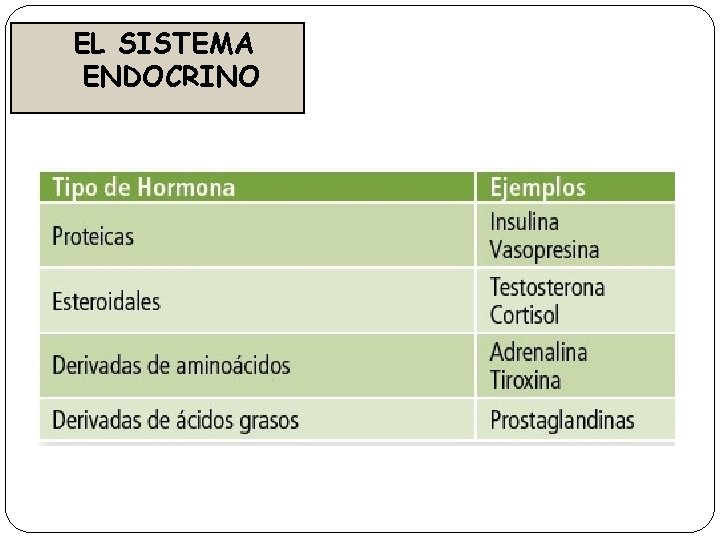 EL SISTEMA ENDOCRINO 