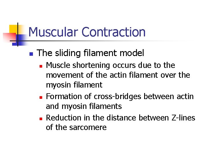 Muscular Contraction n The sliding filament model n n n Muscle shortening occurs due