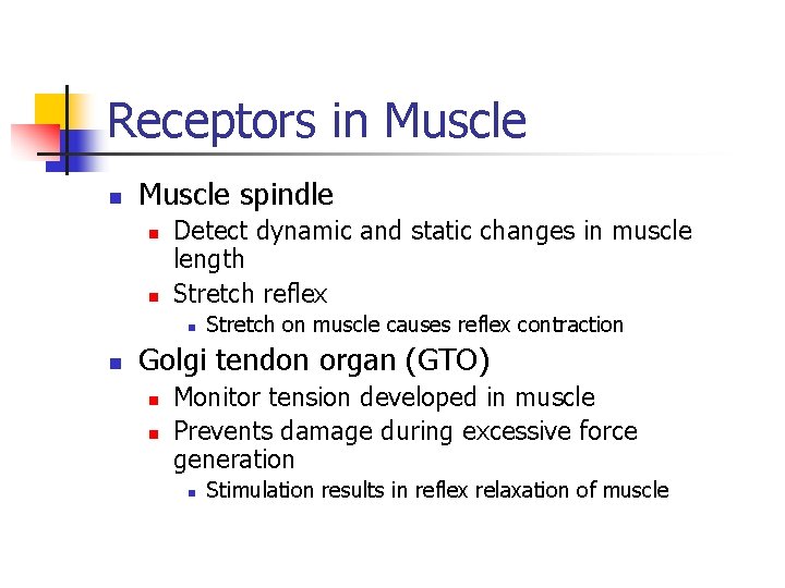 Receptors in Muscle spindle n n Detect dynamic and static changes in muscle length