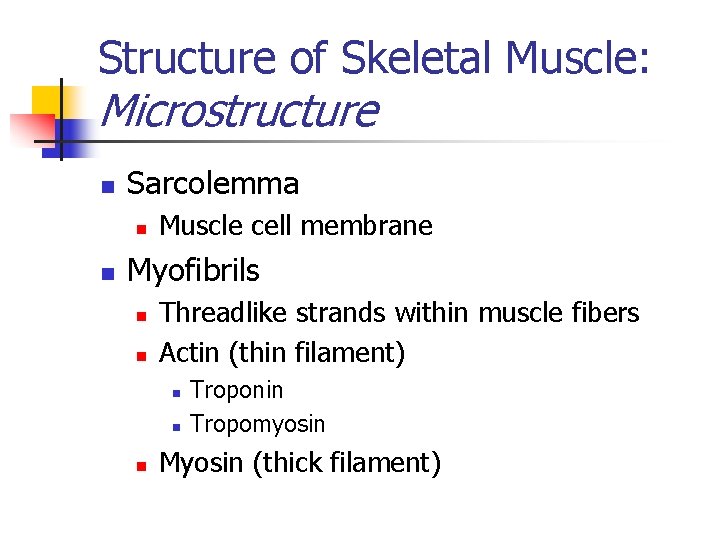 Structure of Skeletal Muscle: Microstructure n Sarcolemma n n Muscle cell membrane Myofibrils n