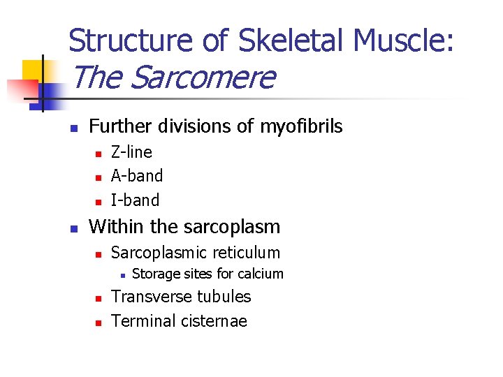 Structure of Skeletal Muscle: The Sarcomere n Further divisions of myofibrils n n Z-line