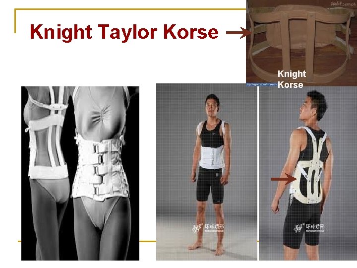 Knight Taylor Korse Knight Korse Knight Taylor Korse Knight Korse
