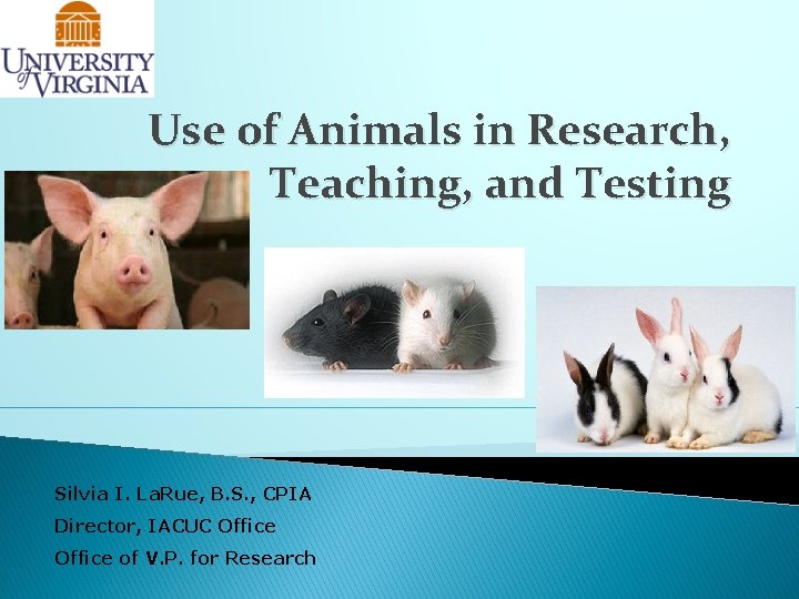 Use of Animals in Research, Teaching, and Testing Silvia I. La. Rue, B. S.