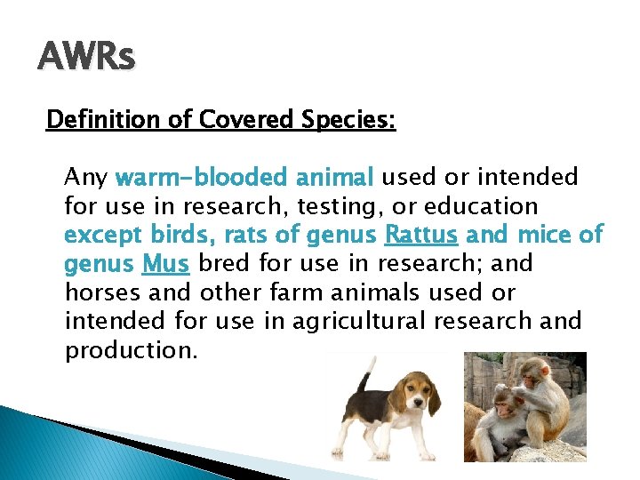 AWRs Definition of Covered Species: Any warm-blooded animal used or intended for use in