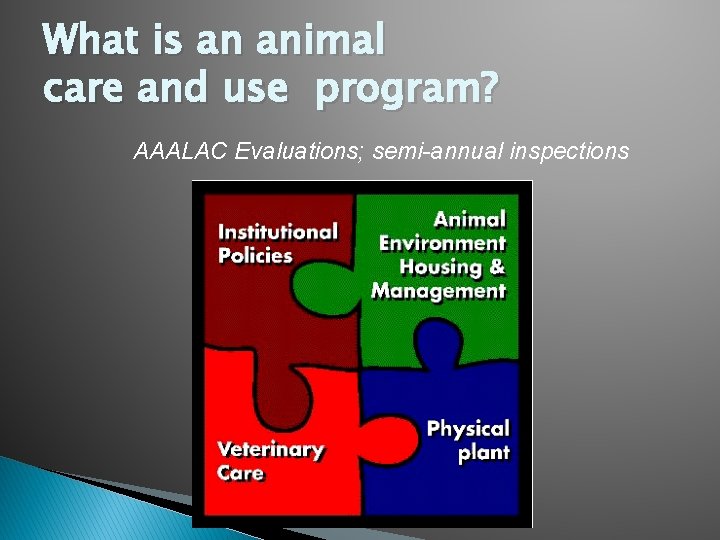 What is an animal care and use program? AAALAC Evaluations; semi-annual inspections 