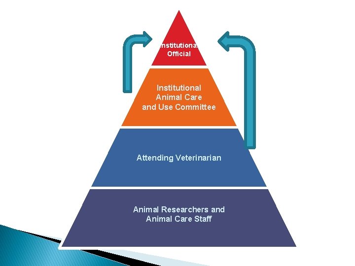 Institutional Official Institutional Animal Care and Use Committee Attending Veterinarian Animal Researchers and Animal