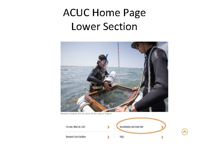 ACUC Home Page Lower Section 