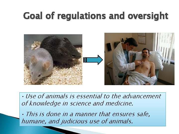 Goal of regulations and oversight • Use of animals is essential to the advancement