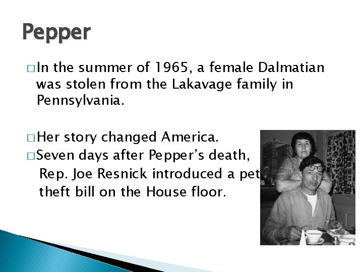 Pepper � In the summer of 1965, a female Dalmatian was stolen from the